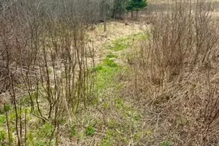234 Walker Brook Rd, Allagash, ME 04774 - Photo 31