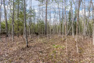 Lot 45-2 Pinewoods Trail, Oakland, ME 04963 - Photo 29