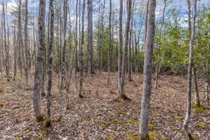 Lot 45-2 Pinewoods Trail, Oakland, ME 04963 - Photo 31