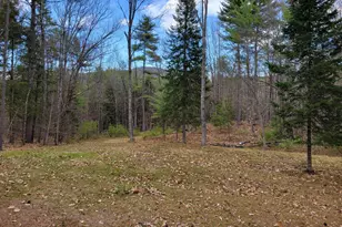 981 Denmark Rd, Denmark, ME 04022 - Photo 5