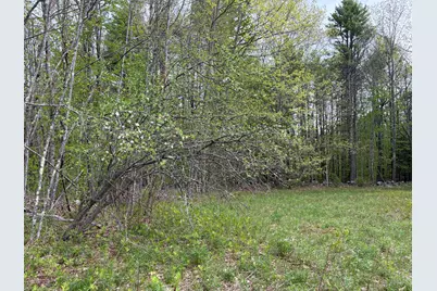Lot 13-B2 South Town Farm Road, Oxford, ME 04270 - Photo 7