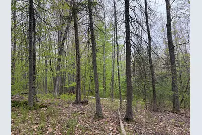 Lot 13-B2 South Town Farm Road, Oxford, ME 04270 - Photo 13