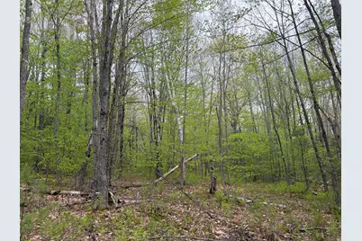 Lot 13-B2 South Town Farm Road, Oxford, ME 04270 - Photo 11