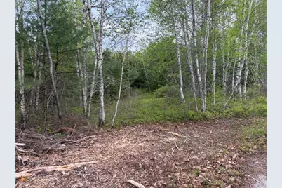 Lot #8 Thayer Road, Waltham, ME 04605 - Photo 1