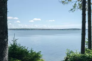779 Paul Bunyan Rd, Gouldsboro, ME 04607 - Photo 9