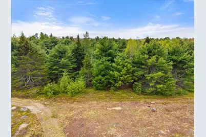 Map 6 Lot 31C Cedar Swamp Road, Orland, ME 04472 - Photo 11