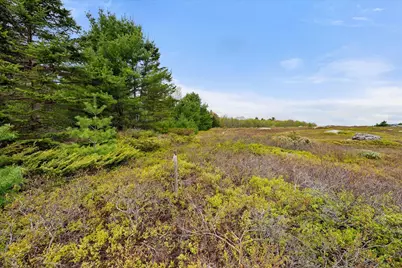 Map 6 Lot 31C Cedar Swamp Road, Orland, ME 04472 - Photo 9
