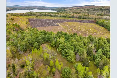 Map 6 Lot 31C Cedar Swamp Road, Orland, ME 04472 - Photo 21