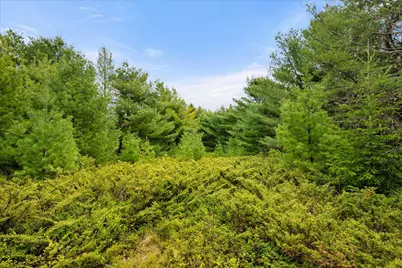 Map 6 Lot 31C Cedar Swamp Road, Orland, ME 04472 - Photo 13