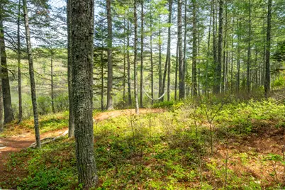 40 Lakeside Drive, Swanville, ME 04915 - Photo 45