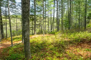40 Lakeside Dr, Swanville, ME 04915 - Photo 45