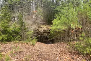 167 Maplewood Dr, Naples, ME 04055 - Photo 1
