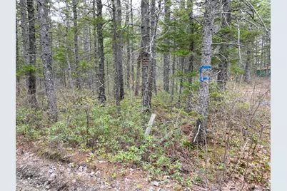 1323 Deer Haven, Wesley, ME 04686 - Photo 9