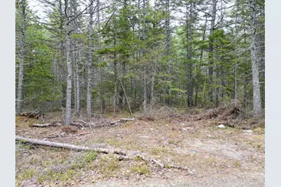 1323 Deer Haven, Wesley, ME 04686 - Photo 3
