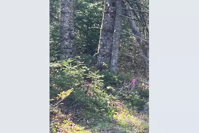 Lot 14 West Bay Road, Gouldsboro, ME 04607 - Photo 1