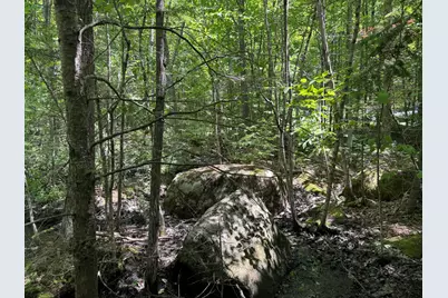 Lot 19 Thomas Pond Shore Road, Casco, ME 04015 - Photo 7