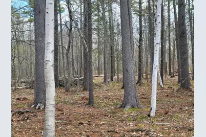 002 Lot B Mortland Road, Searsport, ME 04974 - Photo 3