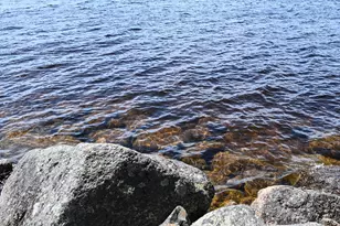 101 Loon Dr, Sullivan, ME 04664 - Photo 23