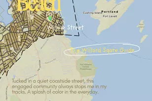 71 Willard St, South Portland, ME 04106 - Photo 77