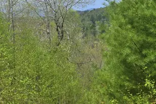 950 School St, Perkins Twp, ME 04294 - Photo 51