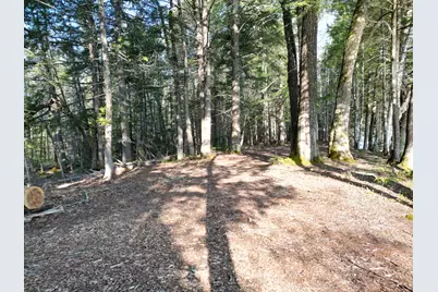 21 Angel Lane, Medford, ME 04463 - Photo 7