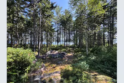 M1 L12-10 Toothaker Island, Rangeley Plt,  04970 - Photo 9