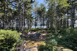 M1 L12-10 Toothaker Island, Rangeley Plt,  04970 - Photo 9