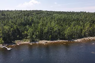 M1 L12-10 Toothaker Island, Rangeley Plt,  04970 - Photo 13