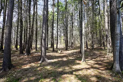 27 Elmwood Drive, Saco, ME 04072 - Photo 35