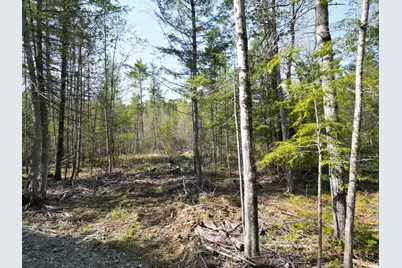 Lot 1 Mattamiscontis Road, Howland, ME 04448 - Photo 7