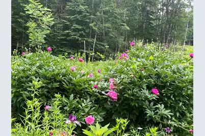 9 Fallen Oak Drive, Alfred, ME 04002 - Photo 109