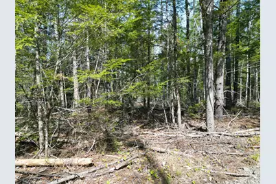Lot 2 Off Mattamiscontis Road, Howland, ME 04448 - Photo 5