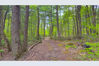 Mu42 L50 Timber Bay Shores Road, Lovell, ME 04051 - Photo 19