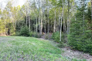 84 St Louis Ave, Hermon, ME 04401 - Photo 31
