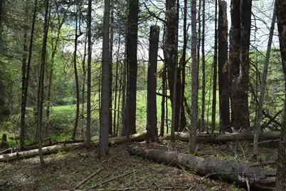 Lot #30 Potter Road, Lisbon, ME 04252 - Photo 9