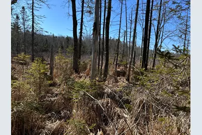 365 Cushing Road, Cushing, ME 04563 - Photo 21