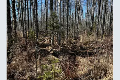 365 Cushing Road, Cushing, ME 04563 - Photo 23