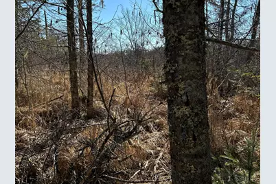 365 Cushing Road, Cushing, ME 04563 - Photo 5