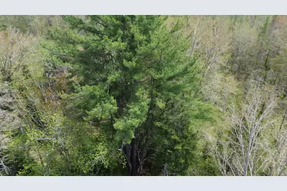 365 Cushing Road, Cushing, ME 04563 - Photo 31