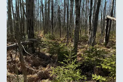 365 Cushing Road, Cushing, ME 04563 - Photo 15