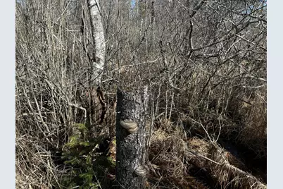 365 Cushing Road, Cushing, ME 04563 - Photo 17