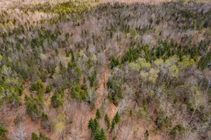 144 Blanchard Rd, Shirley, ME 04485 - Photo 47