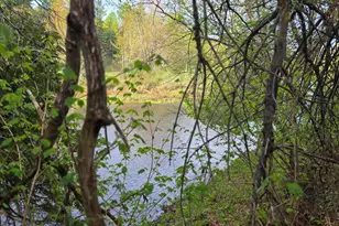 46 Harding St, Island Falls, ME 04747 - Photo 11
