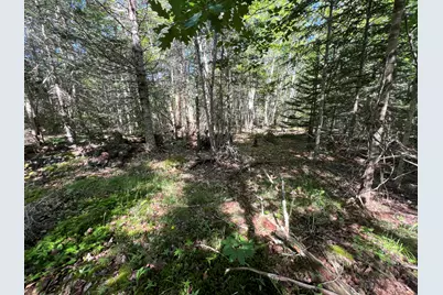 M34, L40 Hinckley Ridge Road, Blue Hill, ME 04614 - Photo 5