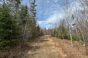 242 Bottle Lake Rd, Springfield, ME 04487 - Photo 35