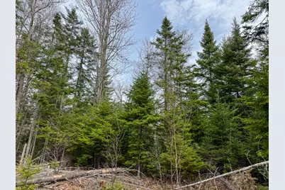 242 Bottle Lake Road, Springfield, ME 04487 - Photo 37