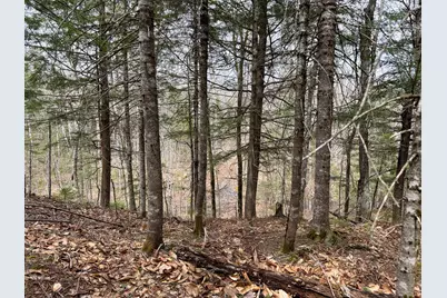 242 Bottle Lake Road, Springfield, ME 04487 - Photo 41