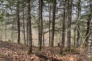 242 Bottle Lake Rd, Springfield, ME 04487 - Photo 41