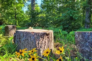 1773 Hudson Rd, Hudson, ME 04449 - Photo 53