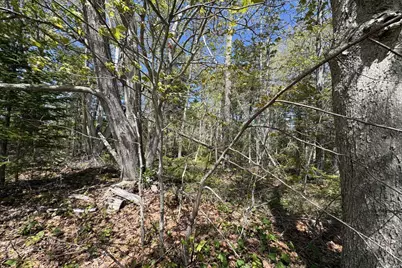 Lot 116010 Martin Point Road, Friendship, ME 04547 - Photo 3